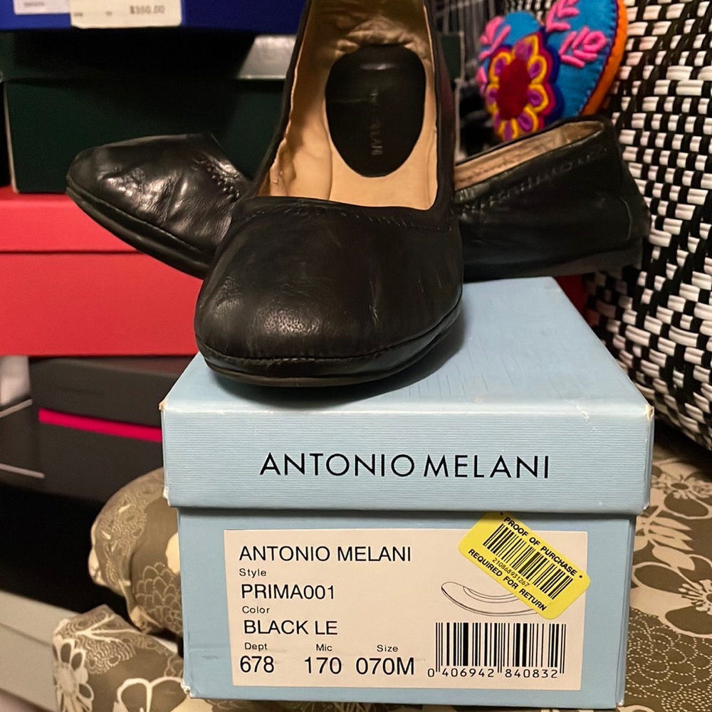 Classic Ballet Flats